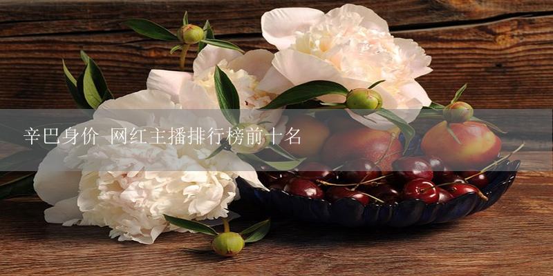 辛巴身价 网红主播排行榜前十名-17攻略