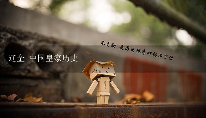 辽金 中国皇家历史-17攻略