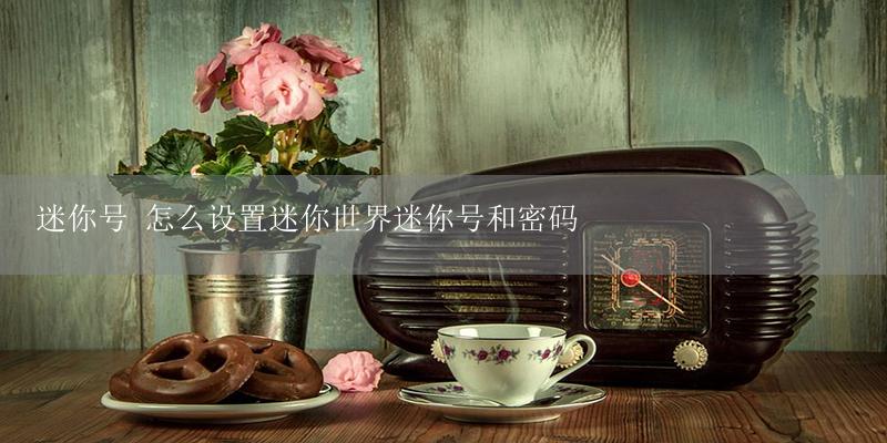 迷你号 怎么设置迷你世界迷你号和密码-17攻略
