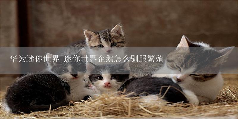 华为迷你世界 迷你世界企鹅怎么驯服繁殖-17攻略