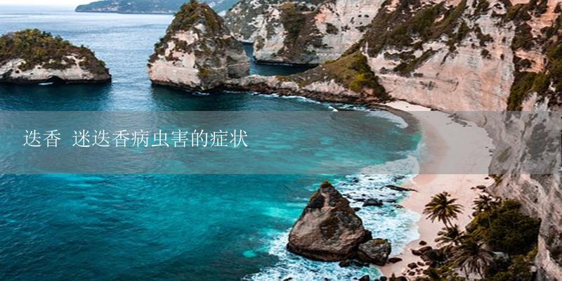 迭香 迷迭香病虫害的症状-17攻略