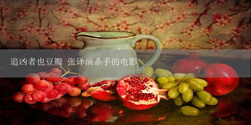 追凶者也豆瓣 张译演杀手的电影-17攻略