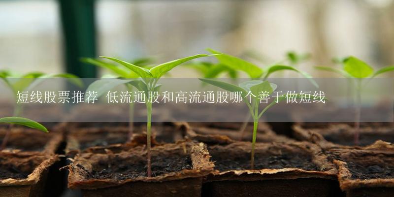 短线股票推荐 低流通股和高流通股哪个善于做短线-17攻略