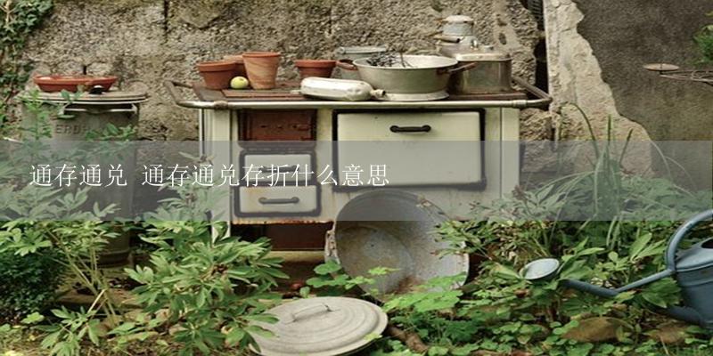 通存通兑 通存通兑存折什么意思-17攻略