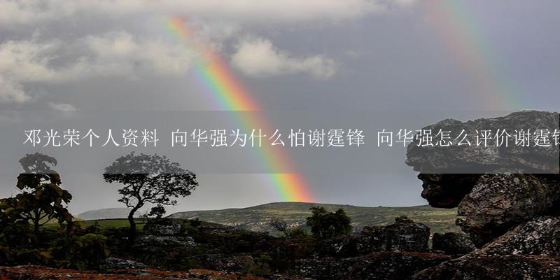 邓光荣个人资料 向华强为什么怕谢霆锋 向华强怎么评价谢霆锋-17攻略