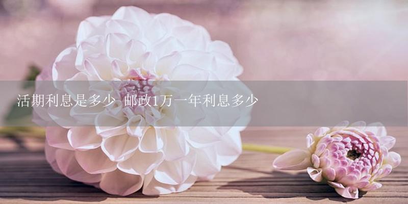 活期利息是多少 邮政1万一年利息多少-17攻略