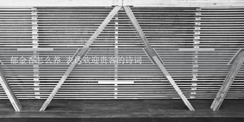 郁金香怎么养 表达欢迎贵客的诗词-17攻略