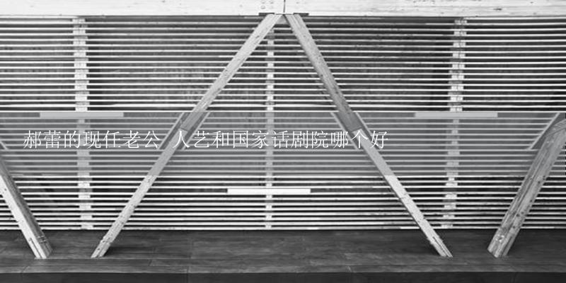 郝蕾的现任老公 人艺和国家话剧院哪个好-17攻略