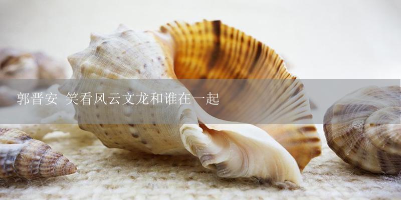 郭晋安 笑看风云文龙和谁在一起-17攻略
