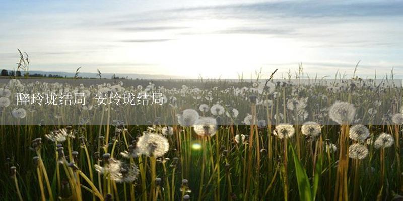 醉玲珑结局 安玲珑结局-17攻略