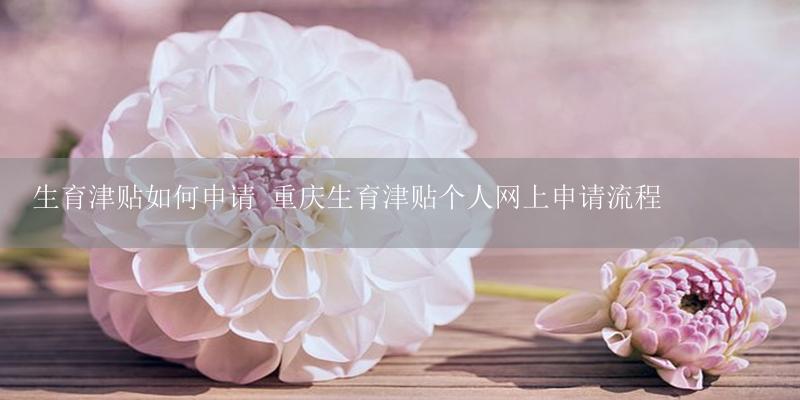 生育津贴如何申请 重庆生育津贴个人网上申请流程-17攻略