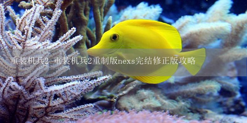 重装机兵2 重装机兵2重制版nexs完结修正版攻略-17攻略