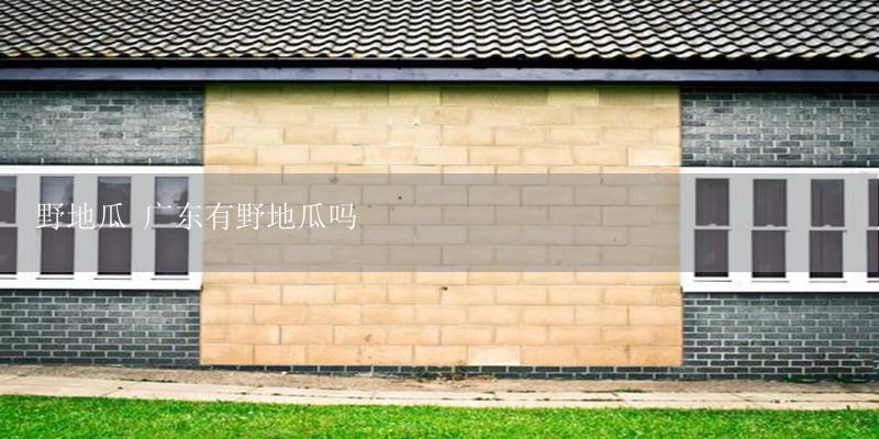 野地瓜 广东有野地瓜吗-17攻略