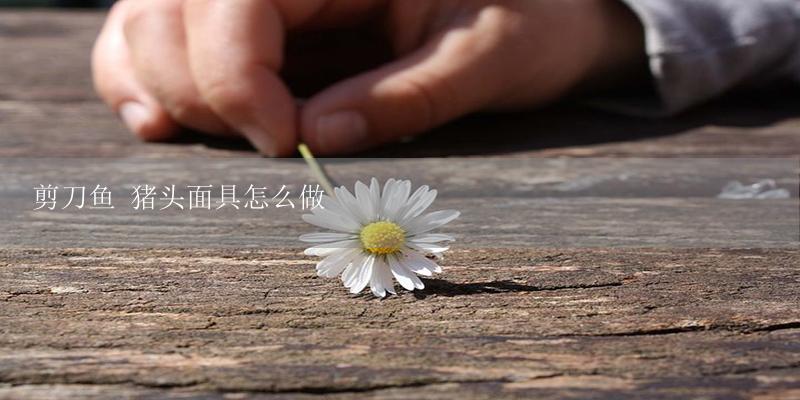 剪刀鱼 猪头面具怎么做-17攻略