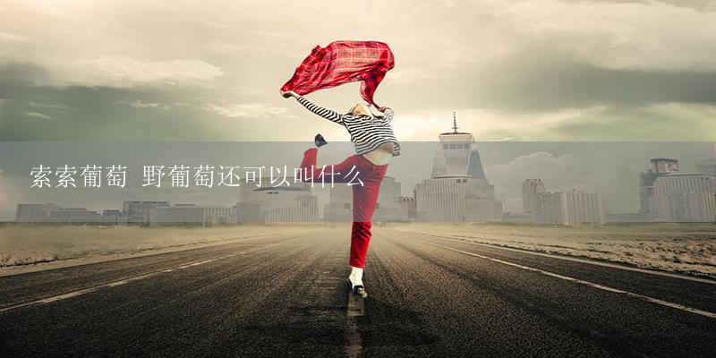 索索葡萄 野葡萄还可以叫什么-17攻略