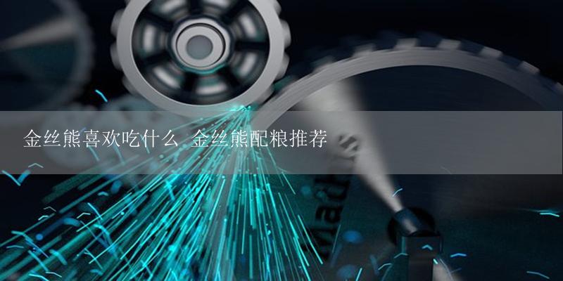 金丝熊喜欢吃什么 金丝熊配粮推荐-17攻略