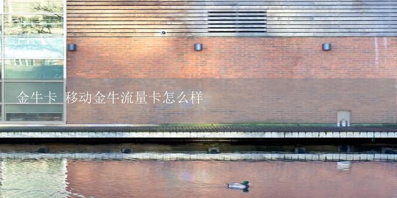 金牛卡 移动金牛流量卡怎么样-17攻略