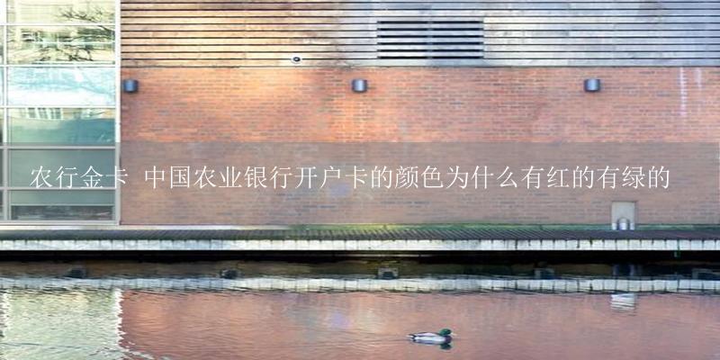 农行金卡 中国农业银行开户卡的颜色为什么有红的有绿的-17攻略