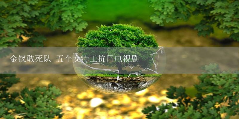 金钗敢死队 五个女特工抗日电视剧-17攻略